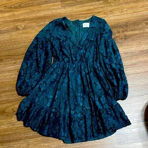 Hello Molly dress. Green lace over lining.